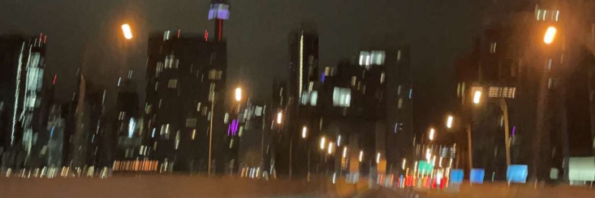dboysk's profile banner image