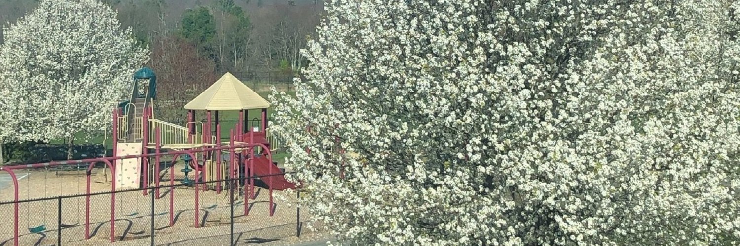 MaryRowlandsonSchool banner