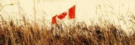 CCRLtweets's profile banner image