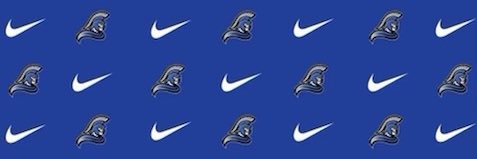 Vantz Singletary banner