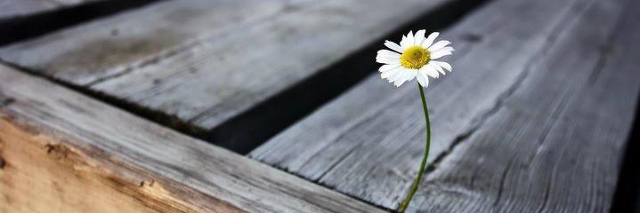 Kendini_Tanima's profile banner image