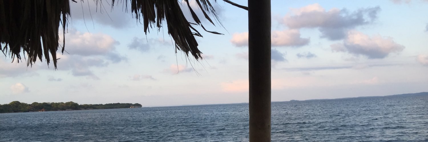 diegogaitann7's profile banner image