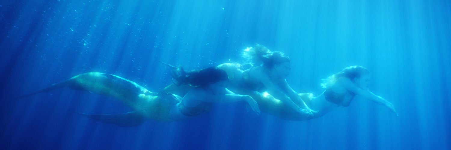 jonathanmshiff banner