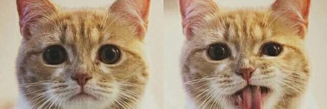 annsaica's profile banner image