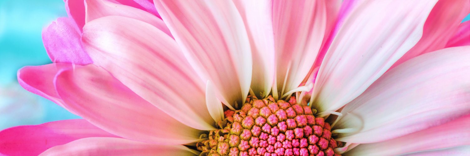 DebbieBoltonLRC's profile banner image