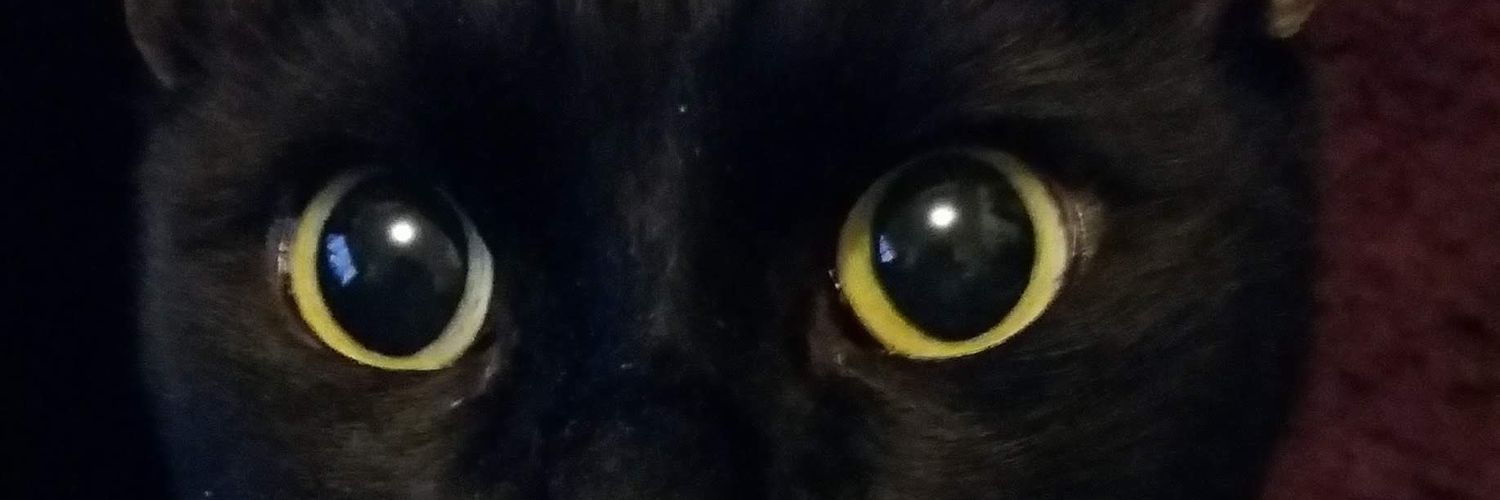 shazzak's profile banner image