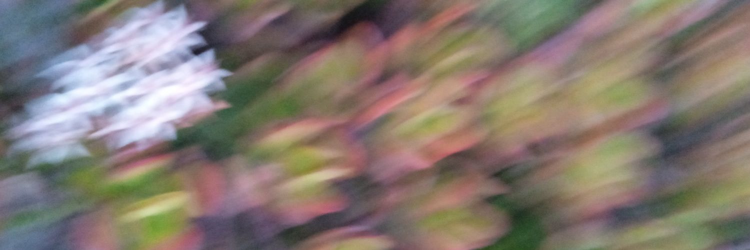 valink's profile banner image