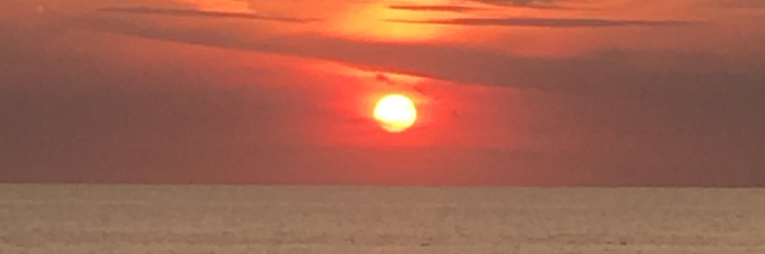LFish36's profile banner image