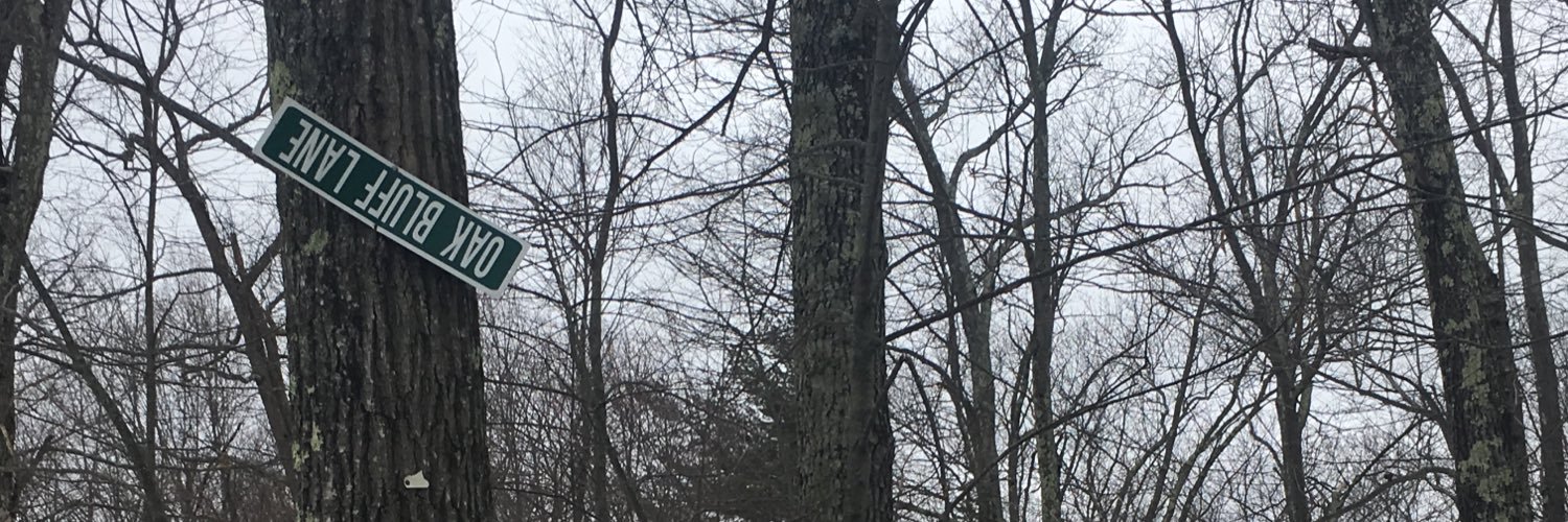 jenpajer's profile banner image