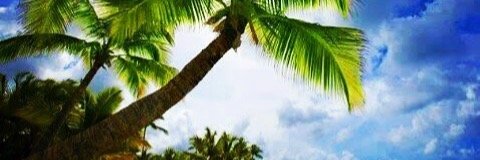 mj4shaw's profile banner image