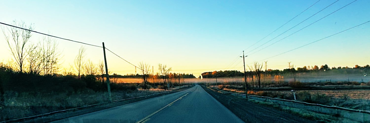 chelsioes's profile banner image