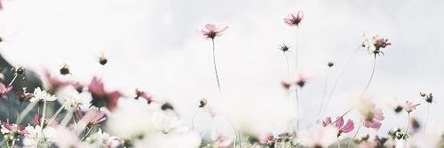 95KJ_'s profile banner image