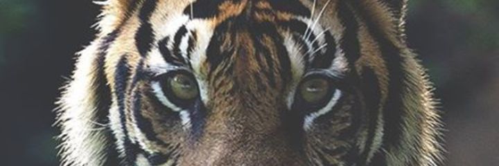 gaby1d13's profile banner image