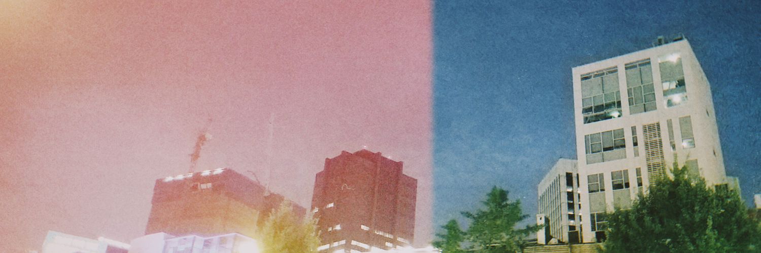 Pollypaloy's profile banner image