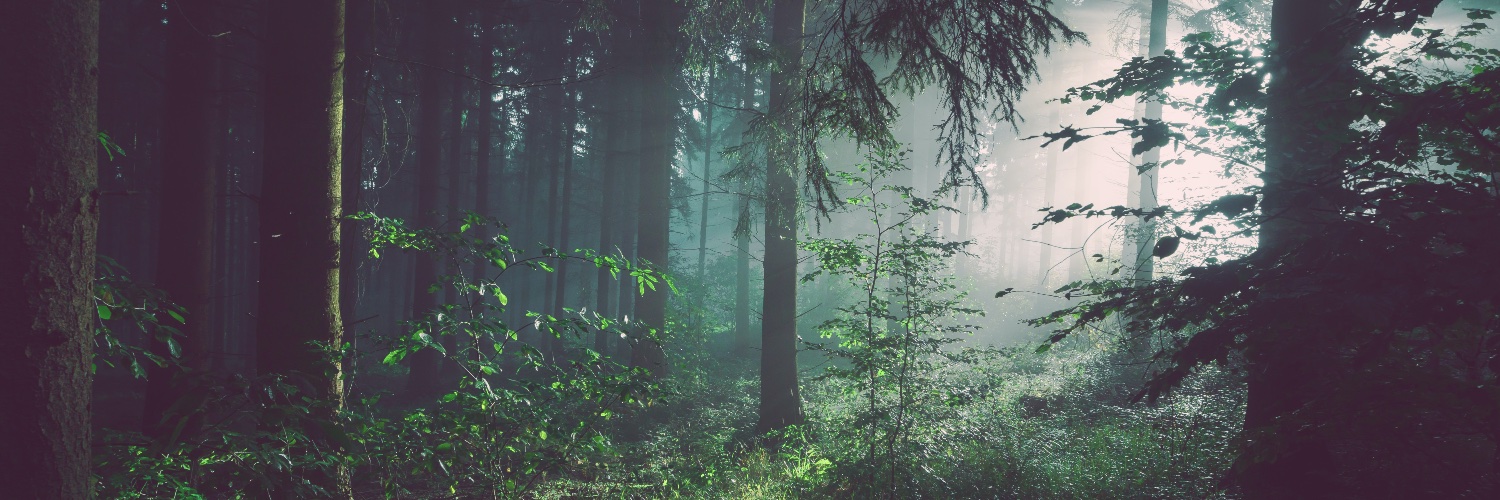 Katherine Starzyk banner