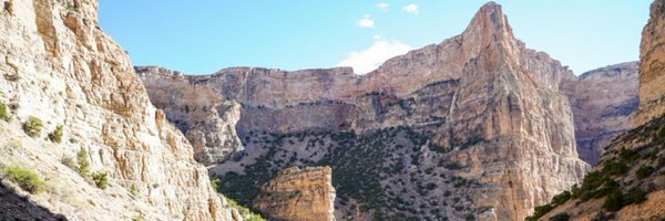 wilsonmcm1 Profile Banner