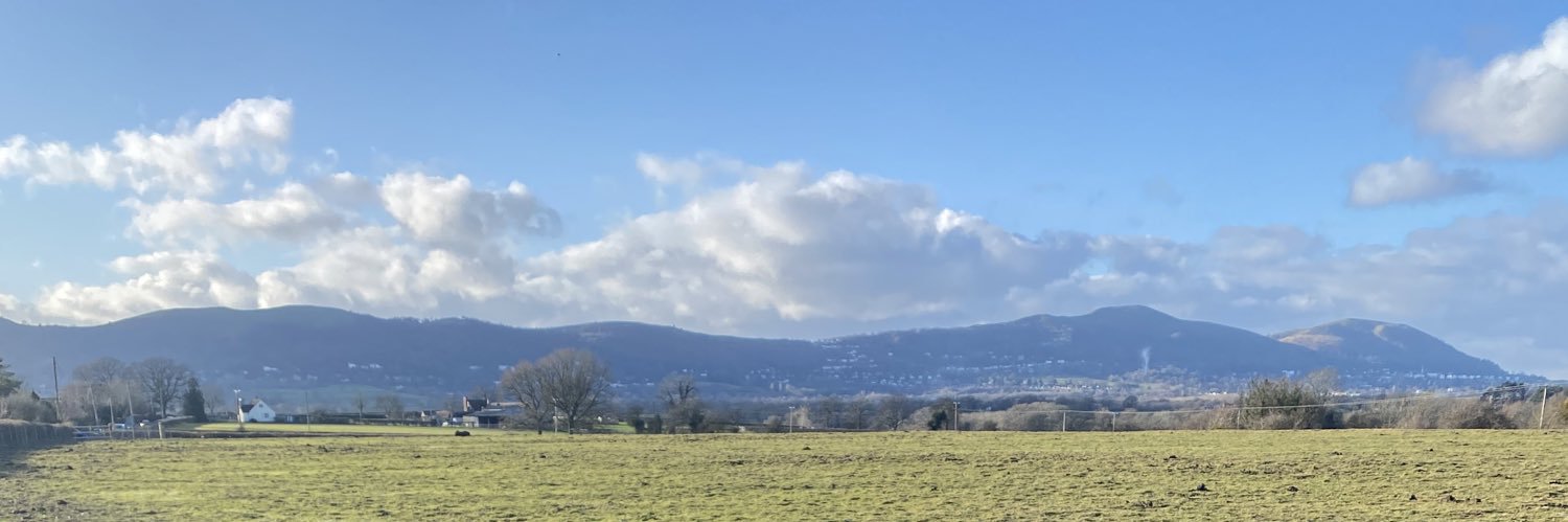 themiltonian's profile banner image
