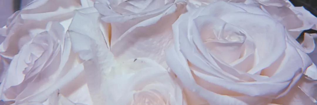 knieto28's profile banner image