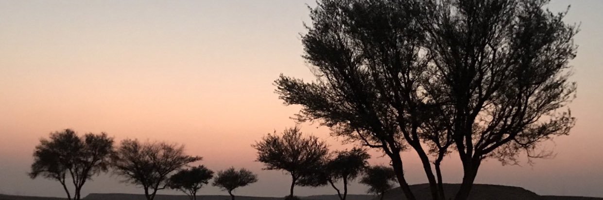 abuans1's profile banner image