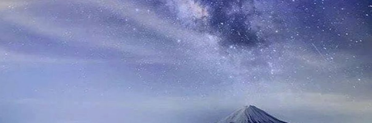 tadellostiger's profile banner image