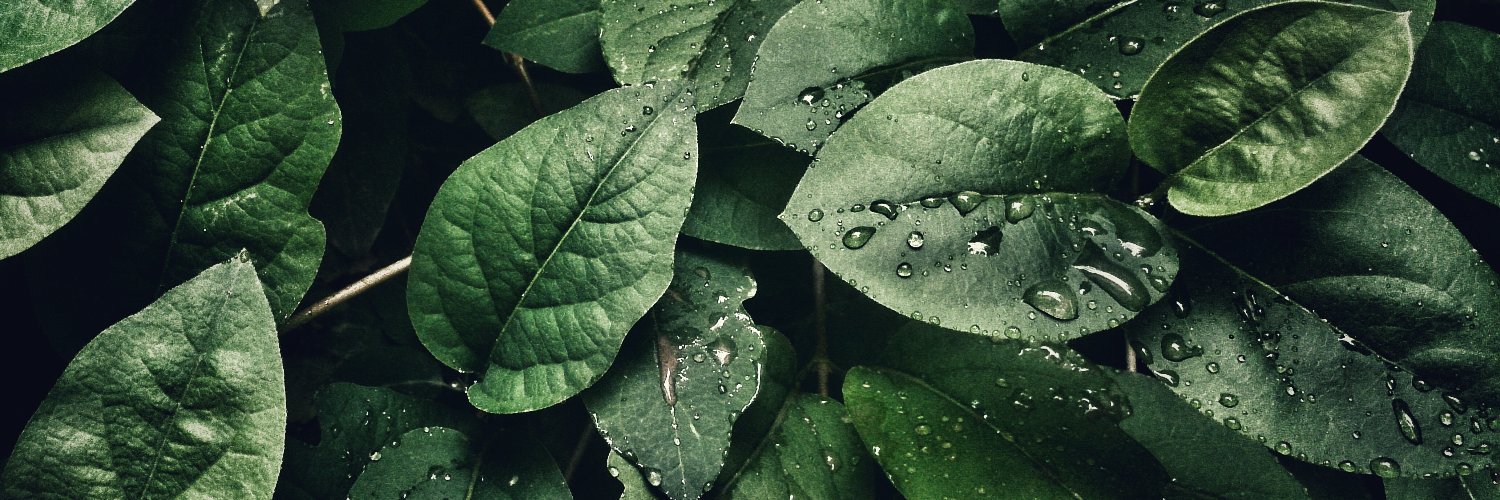 SKLivingGreen's profile banner image