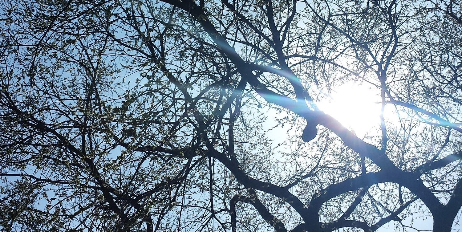 dbabie27's profile banner image