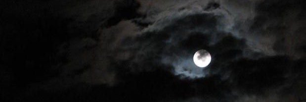 rtoronoa's profile banner image