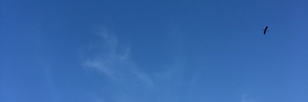 tunntpch's profile banner image