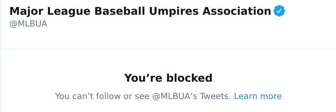 Umpire Auditor's banner