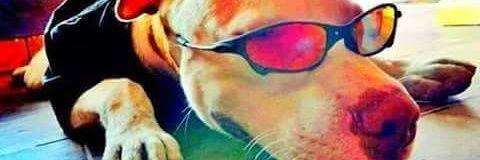 Drigo_vsb's profile banner image