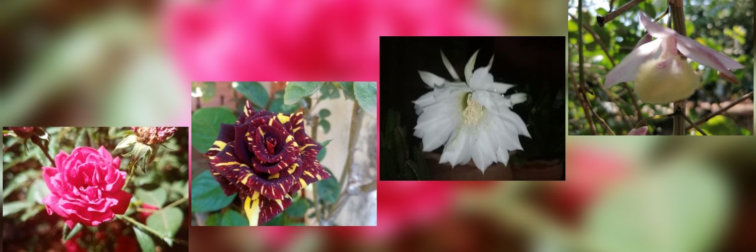 DureEduc's profile banner image