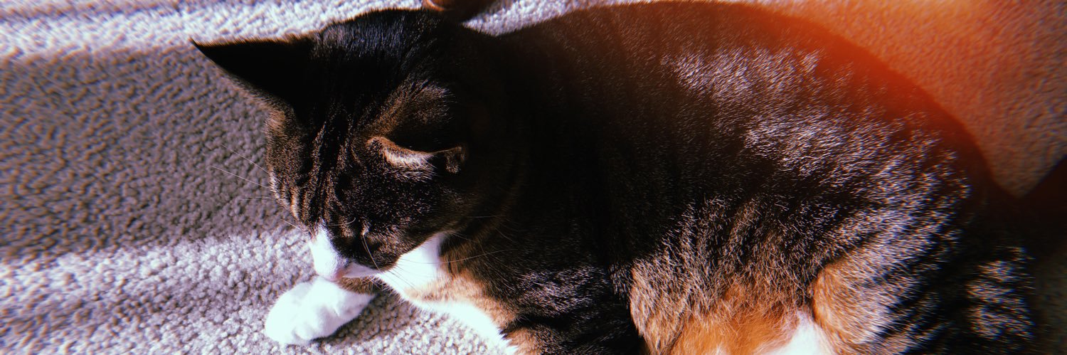 gra_win9's profile banner image