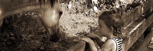 Cody Drew Tuttleπ² banner