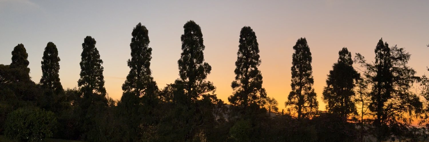 StartwideExpandfurther banner