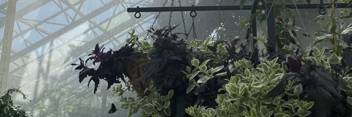 allynheriphone's profile banner image