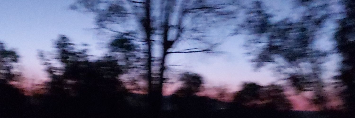 santisnjk's profile banner image