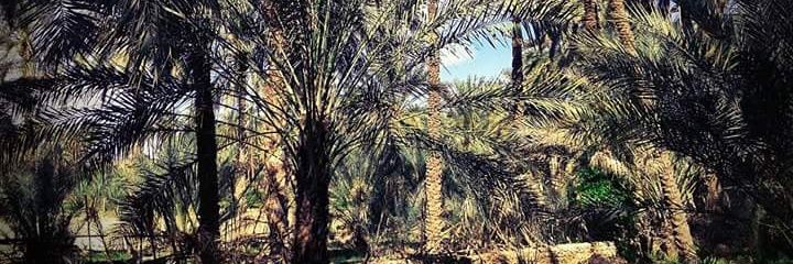 abdelhalim91's profile banner image