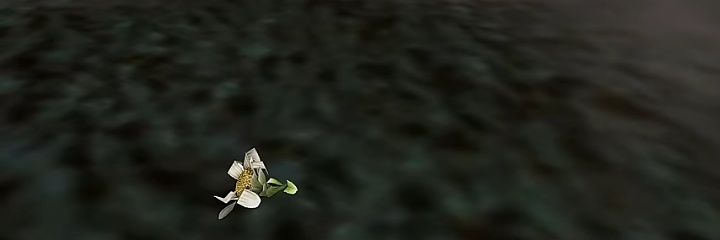 crimsonSpam's profile banner image