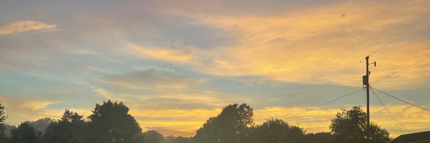 allynichols53's profile banner image
