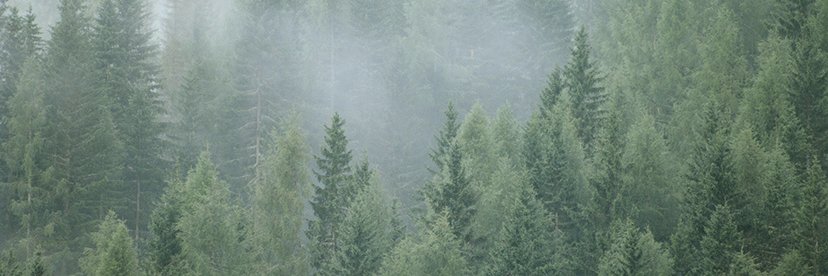 Effe Perfect Wellness banner
