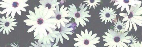 swaterhous_SP's profile banner image