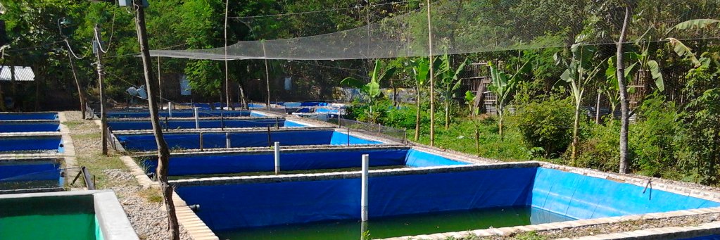 Fajar Ragil Saputra banner