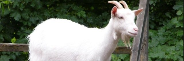 NotRaburn's profile banner image
