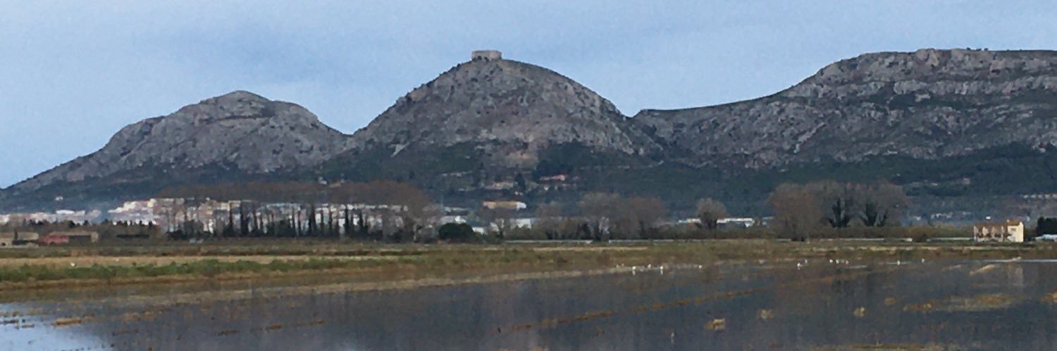 Josep M. Parals 🎗 banner