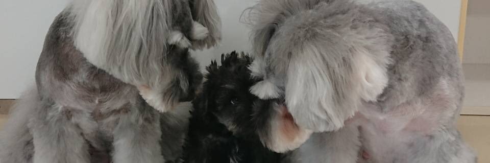 go825ld's profile banner image