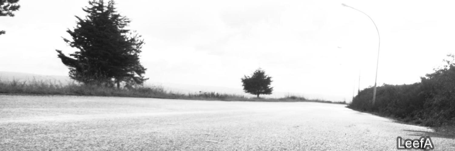 leefamusic's profile banner image