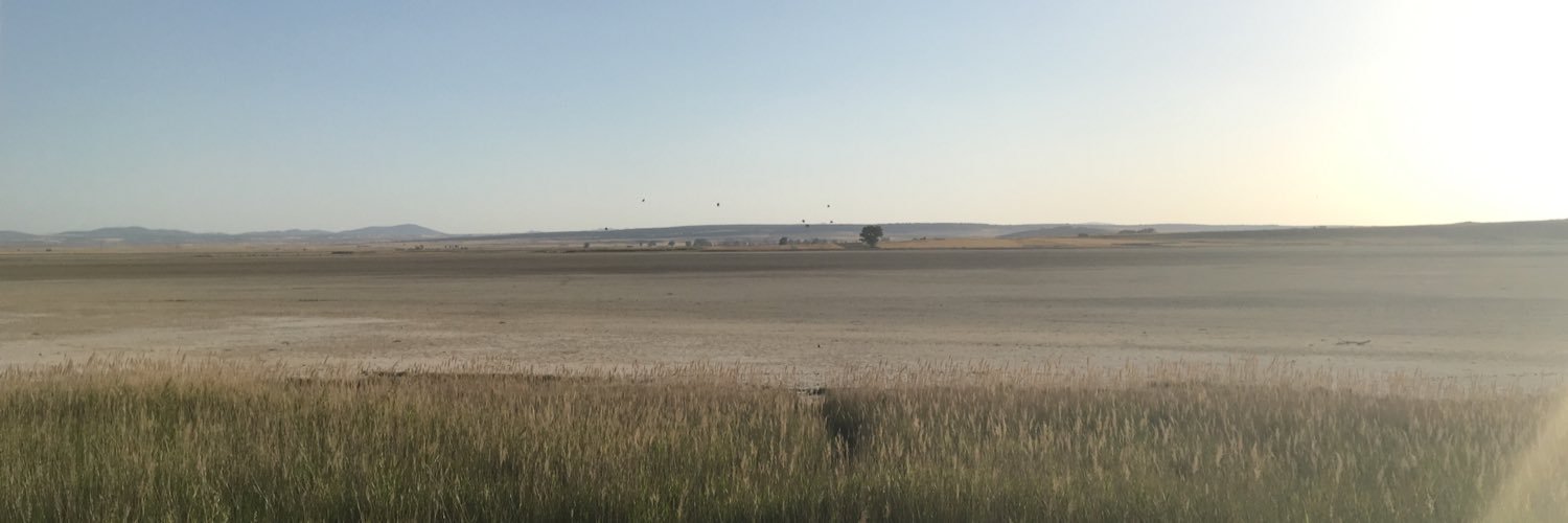 DavidRanilla's profile banner image