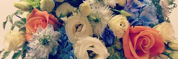 littlestflorist's profile banner image