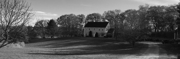 JamesWeekesIB Profile Banner