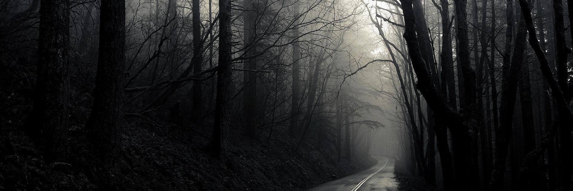 Alex Australis banner